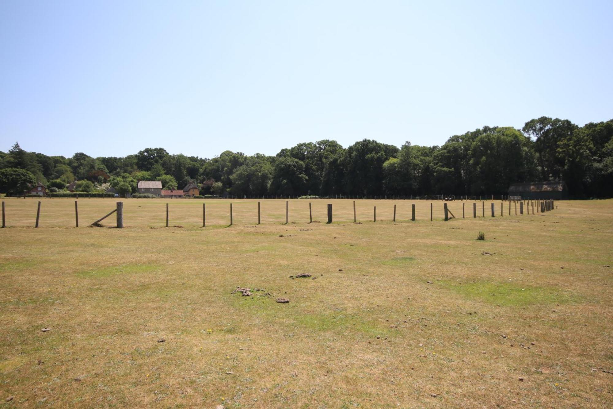 Avondale New Forest Godshill  Екстер'єр фото